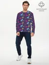 Мужской лонгслив базовый / Юные титаны (P007_P004ooo2366243, P004ooo2366243)