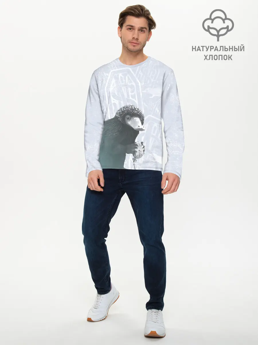 Мужской лонгслив базовый / Niffler (P007_P004ooo2396201, P004ooo2396201)