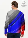 Мужской лонгслив базовый / Русский Медведь (P007_P004ooo2434047, P004ooo2434047)