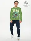 Мужской лонгслив базовый / Bulbasaur (P007_P004ooo2535297, P004ooo2535297)