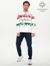 Мужской лонгслив базовый / Таджикистан (P007_P004ooo2538655, P004ooo2538655)