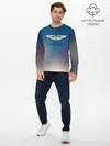 Мужской лонгслив базовый / aston martin (P007_P004ooo2545867, P004ooo2545867)