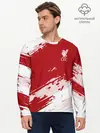 Мужской лонгслив базовый / Liverpool F.C. (P007_P004ooo2552411, P004ooo2552411)