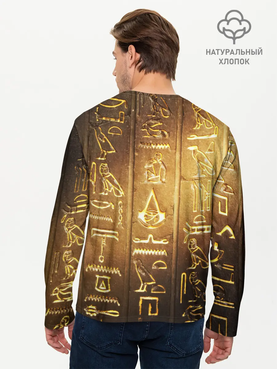 Мужской лонгслив базовый / ASSASSINS CREED l ORIGINS (P007_P004ooo2564885, P004ooo2564885)