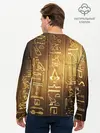 Мужской лонгслив базовый / ASSASSINS CREED l ORIGINS (P007_P004ooo2564885, P004ooo2564885)