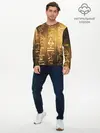 Мужской лонгслив базовый / ASSASSINS CREED l ORIGINS (P007_P004ooo2564885, P004ooo2564885)