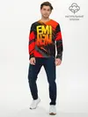 Мужской лонгслив базовый / Eminem (P007_P004ooo2568983, P004ooo2568983)