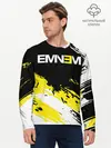 Мужской лонгслив базовый / Eminem (P007_P004ooo2569199, P004ooo2569199)