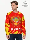 Мужской лонгслив базовый / USSR / СССР (P007_P004ooo2576463, P004ooo2576463)
