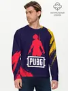 Мужской лонгслив базовый / PUBG / ПАБГ (P007_P004ooo2592081, P004ooo2592081)