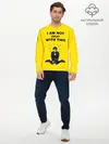 Мужской лонгслив базовый / МНЕ ЭТО НЕ НРАВИТСЯ (P007_P004ooo2611235, P004ooo2611235)