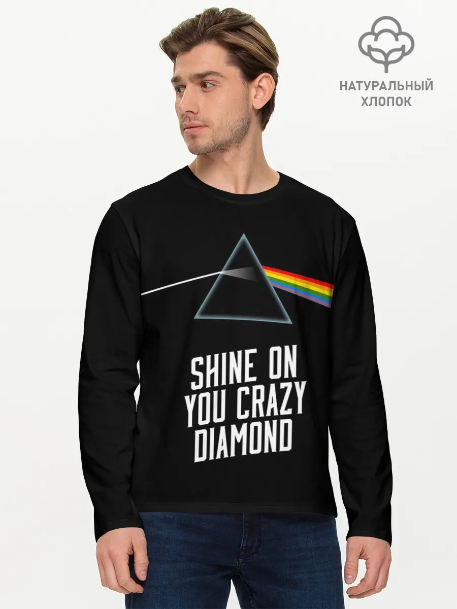 Мужской лонгслив базовый / PINK FLOYD (P007_P004ooo2615435, P004ooo2615435)