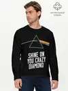 Мужской лонгслив базовый / PINK FLOYD (P007_P004ooo2615435, P004ooo2615435)