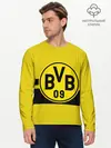 Мужской лонгслив базовый / BORUSSIA DORTMUND (P007_P004ooo2615849, P004ooo2615849)