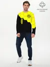Мужской лонгслив базовый / Borussia Dortmund (P007_P004ooo2616013, P004ooo2616013)