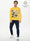 Мужской лонгслив базовый / Чатик (P007_P004ooo2616875, P004ooo2616875)
