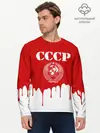 Мужской лонгслив базовый / СССР (P007_P004ooo2620325, P004ooo2620325)