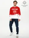 Мужской лонгслив базовый / СССР (P007_P004ooo2620325, P004ooo2620325)