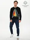 Мужской лонгслив базовый / Звездный путь (P007_P004ooo2620749, P004ooo2620749)