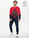 Мужской лонгслив базовый / Justice League (P007_P004ooo2620599, P004ooo2620599)