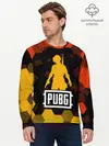 Мужской лонгслив базовый / PUBG / ПАБГ (P007_P004ooo2622711, P004ooo2622711)