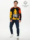 Мужской лонгслив базовый / PUBG / ПАБГ (P007_P004ooo2622711, P004ooo2622711)