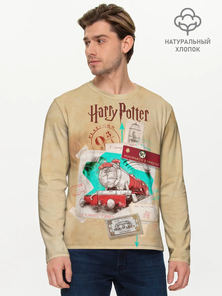 Мужской лонгслив базовый / Harry Potter Hogwarts Express (P007_P004ooo2627105, P004ooo2627105)