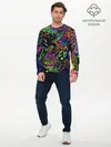 Мужской лонгслив базовый / PSYHODELIC (P007_P004ooo2627307, P004ooo2627307)
