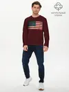 Мужской лонгслив базовый / USA (P007_P004ooo2632261, P004ooo2632261)