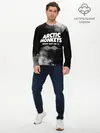 Мужской лонгслив базовый / Arctic Monkeys (P007_P004ooo2632855, P004ooo2632855)