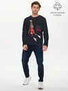 Мужской лонгслив базовый / MICHAEL JORDAN (P007_P004ooo2637553, P004ooo2637553)