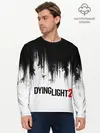 Мужской лонгслив базовый / Dying Light 2 (P007_P004ooo2643501, P004ooo2643501)
