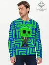 Мужской лонгслив базовый / Minecraft | Creeper (P007_P004ooo2646463, P004ooo2646463)