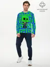 Мужской лонгслив базовый / Minecraft | Creeper (P007_P004ooo2646463, P004ooo2646463)