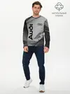 Мужской лонгслив базовый / AUDI / АУДИ (P007_P004ooo2654693, P004ooo2654693)