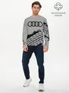 Мужской лонгслив базовый / AUDI / АУДИ (P007_P004ooo2654649, P004ooo2654649)
