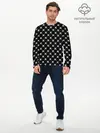 Мужской лонгслив базовый / Черепа (P007_P004ooo2656069, P004ooo2656069)