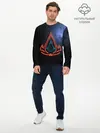 Мужской лонгслив базовый / Assassins Creed Valhalla (P007_P004ooo2661367, P004ooo2661367)