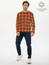 Мужской лонгслив базовый / Шотландская клетка (P007_P004ooo2663655, P004ooo2663655)