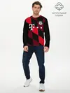 Мужской лонгслив базовый / ФК Бавария Мюнхен (P007_P004ooo2671251, P004ooo2671251)