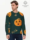 Мужской лонгслив базовый / Осенние тыквы (P007_P004ooo2671329, P004ooo2671329)