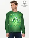 Мужской лонгслив базовый / Slytherin Quidditch Team (P007_P004ooo2672195, P004ooo2672195)