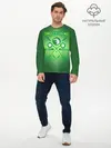 Мужской лонгслив базовый / Slytherin Quidditch Team (P007_P004ooo2672195, P004ooo2672195)