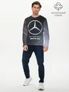Мужской лонгслив базовый / MERCEDES / МЕРСЕДЕС (P007_P004ooo2680451, P004ooo2680451)