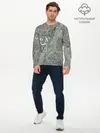 Мужской лонгслив базовый / Grey (P007_P004ooo2682247, P004ooo2682247)