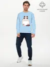 Мужской лонгслив базовый / Тоторный кот (P007_P004ooo2683119, P004ooo2683119)