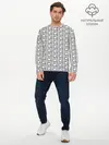Мужской лонгслив базовый / Архитектура (P007_P004ooo2684909, P004ooo2684909)