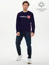 Мужской лонгслив базовый / UMBRELLA CORP / АМБРЕЛЛА (P007_P004ooo2691761, P004ooo2691761)