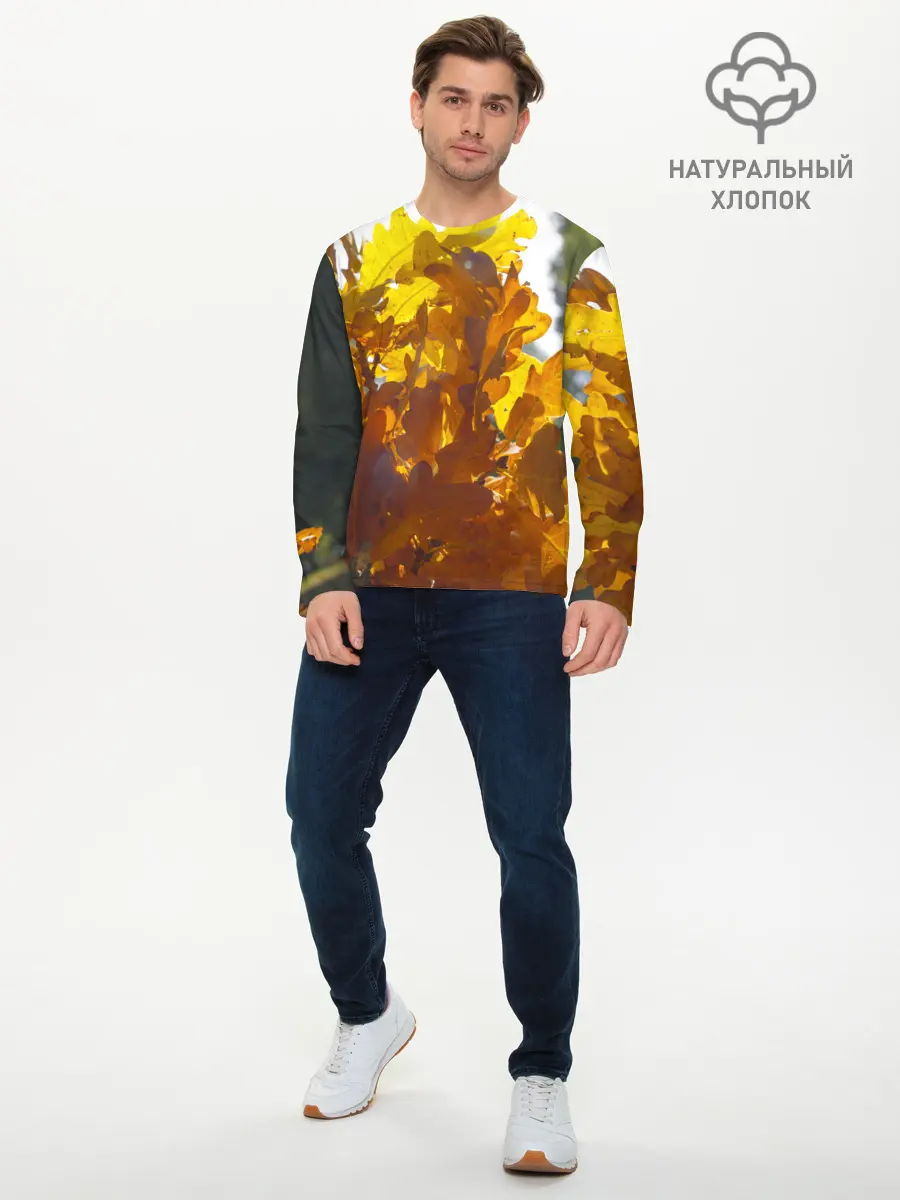 Мужской лонгслив базовый / Букет из осенних листьев (P007_P004ooo2691979, P004ooo2691979)