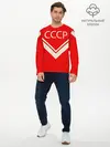 Мужской лонгслив базовый / СССР хоккейная форма (P007_P004ooo2696099, P004ooo2696099)